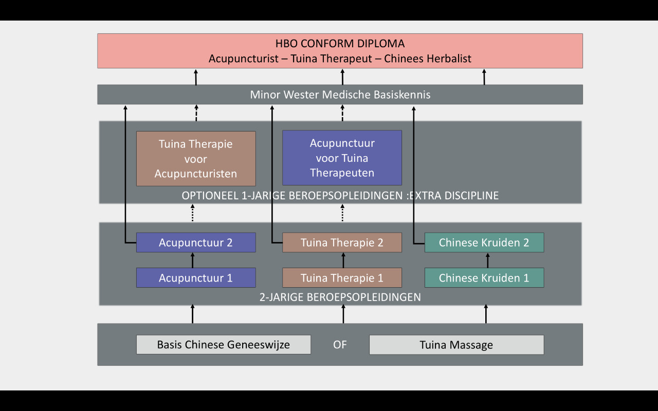 stroomschema-opleidingen.jpg