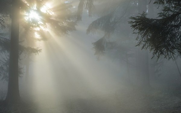 Door de ‘Mist’ de zon niet meer zien